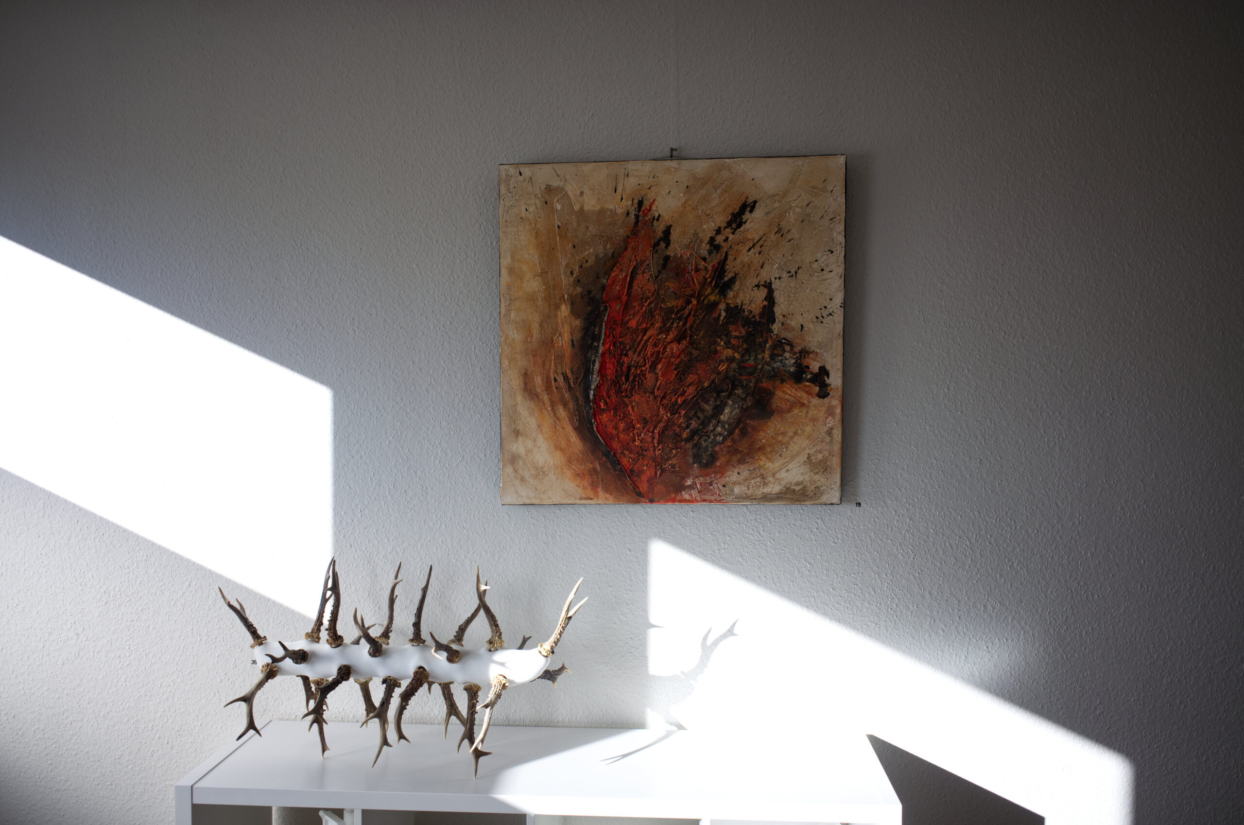 Bild19